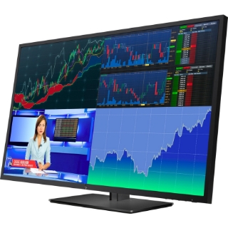 Picture of HP Business Z43 42.5" 4K UHD WLED LCD Monitor - 16:9 - Black Pearl