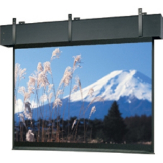 Picture of Da-Lite Professional Electrol 200" Electric Projection Screen