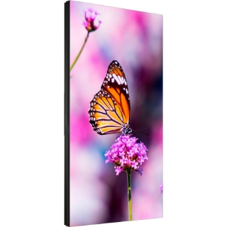 Picture of NEC Display 55" LED Backlit 0.88mm Ultra-Narrow Bezel 2x2 Video Wall Bundle