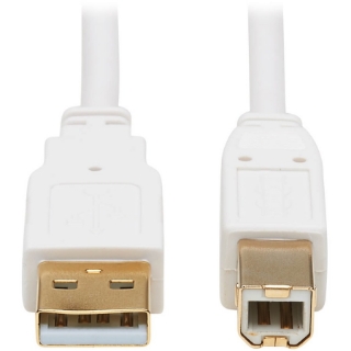 Picture of Tripp Lite Safe-IT USB-A to USB-B Antibacterial Cable (M/M), USB 2.0, White, 6 ft.