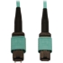 Picture of Tripp Lite N842B-10M-12-MF Fiber Optic Network Cable