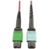 Picture of Tripp Lite Multimode Fiber Optic Cable 400G MTP/MPO-APC to 24F MTP/MPO-UPC F/F 3M