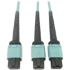Picture of Tripp Lite Multomode Fiber Optic Cable 24F MTP/MPO-PC to x2 12F MTP/MPO-PC F/F 3M