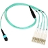 Picture of Axiom MPO Female to 4 LC Multimode OM4 50/125 Fiber Optic Breakout Cable - 30m