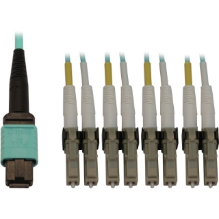 Picture of Tripp Lite N844X-05M-8L-P Fiber Optic Duplex Trunk Network Cable