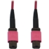 Picture of Tripp Lite N845B-05M-12-MG Fiber Optic Network Cable