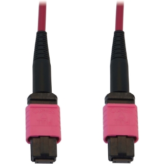Picture of Tripp Lite N845B-10M-12-MG Fiber Optic Network Cable