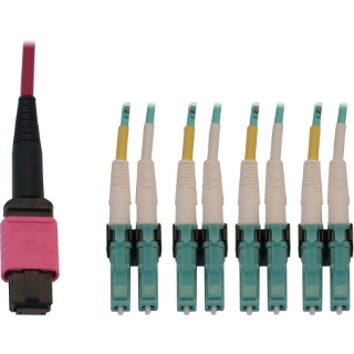 Picture of Tripp Lite N845X-01M-8L-MG Fiber Optic Duplex Trunk Network Cable