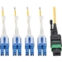 Picture of Tripp Lite MTP/MPO (APC) to 8xLC SMF Fiber Breakout Cable QSFP+ 40/100Gb 2M