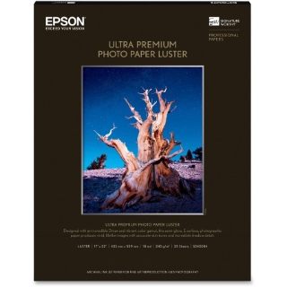 Picture of Epson Ultra Premium Photo Paper