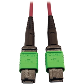 Picture of Tripp Lite Multimode Fiber Optic Cable 400G OM4 Plenum MTP/MPO-APC F/F 3M