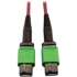 Picture of Tripp Lite Multimode Fiber Optic Cable 400G OM4 Plenum MTP/MPO-APC F/F 3M