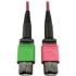 Picture of Tripp Lite Multimode Fiber Optic Cable 400G OM4 MTP/MPO-APC to MTP/MPO-UPC F/F 5M