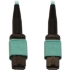 Picture of Tripp Lite N844B-02M-12-P Fiber Optic Network Cable