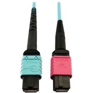 Picture of Tripp Lite Multimode Fiber Optic Cable 24F MTP/MPO-UPC to 16F MTP/MPO-UPC F/F 5M