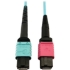 Picture of Tripp Lite Multimode Fiber Optic Cable 24F MTP/MPO-UPC to 16F MTP/MPO-UPC F/F 5M
