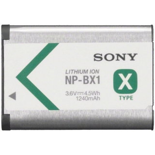 Picture of Sony Rechargeable Battery Pack