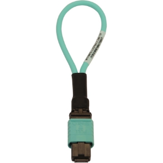 Picture of Tripp Lite N844B-LOOP-12F Fiber Optic Loopback