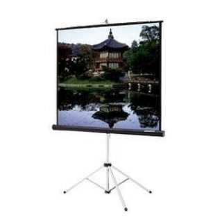 Picture of Da-Lite Picture King Portable and Tripod Projection Screen (Gray carpeted)