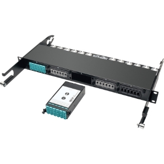 Picture of Tripp Lite 24-Fiber Patch Panel MTP/MPO to x12 LC 10Gb Breakout Cassette