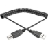 Picture of Tripp Lite 10ft Hi-Speed USB 2.0 to USB B Cable Coiled USB A-B M/M 10'