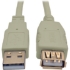 Picture of Tripp Lite 6ft USB 2.0 Hi-speed A/A Cable M/M 480 Mbps Beige, USB extension 6'