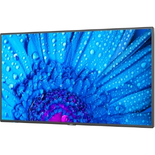 Picture of NEC Display 43" Ultra High Definition Professional Display