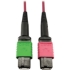 Picture of Tripp Lite Multimode Fiber Optic Cable 400G OM4 MTP/MPO-APC to MTP/MPO-UPC F/F 3M