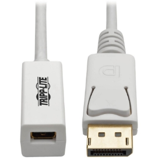 Picture of Tripp Lite 6in DisplayPort to Mini DisplayPort Adapter Cable 4k x 2k @ 60Hz M/F 6"