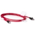 Picture of HP Cat5 Patch Cable