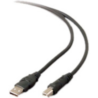 Picture of Belkin USB Extension Cable