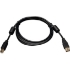 Picture of Tripp Lite 3ft USB 2.0 Hi-Speed A/B Device Cable Ferrite Chokes M/M