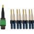 Picture of Tripp Lite N390X-02M-8L-AP Fiber Optic Duplex Network Cable