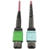 Picture of Tripp Lite Multimode Fiber Optic Cable 400G MTP/MPO-APC to 24F MTP/MPO-UPC F/F 5M