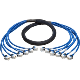 Picture of Tripp Lite Augmented Cat6/Cat6a Pre-Terminated Copper Trunk Bundle, (6x) RJ45 (F/F), 6 ft